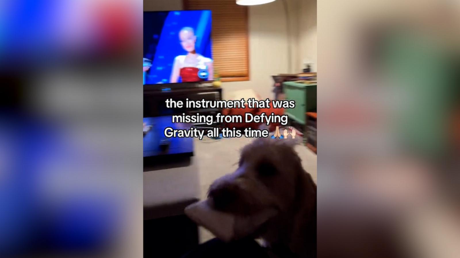 WATCH:  Dog plays squeaky toy while listening to Cynthia Erivo sing ‘Defying Gravity’