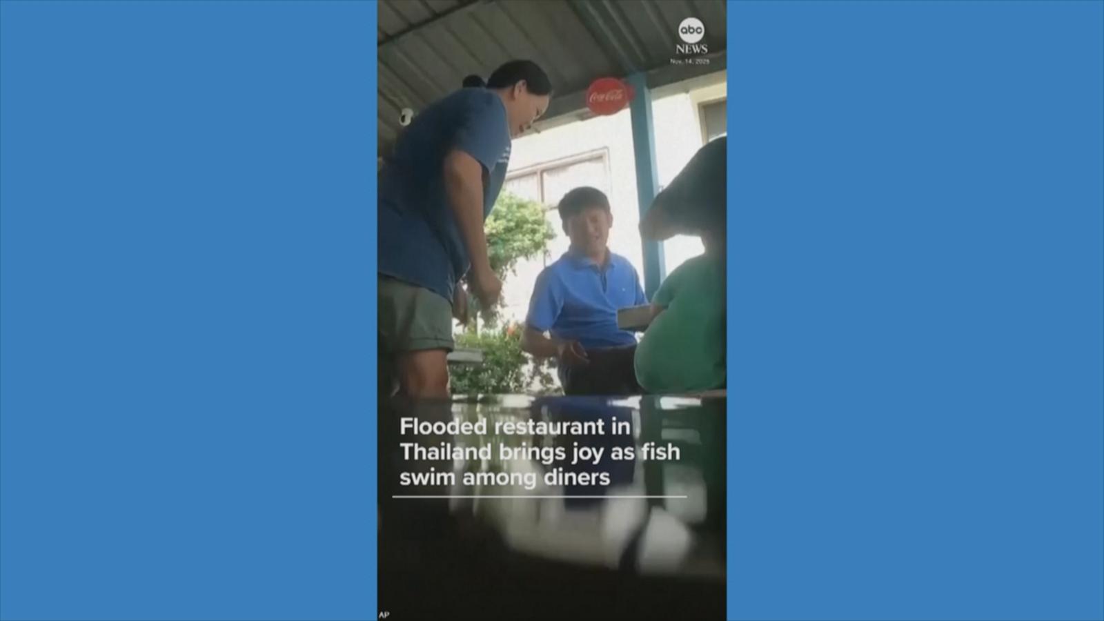 WATCH:  Fish swim among diners in flooded Thai restaurant