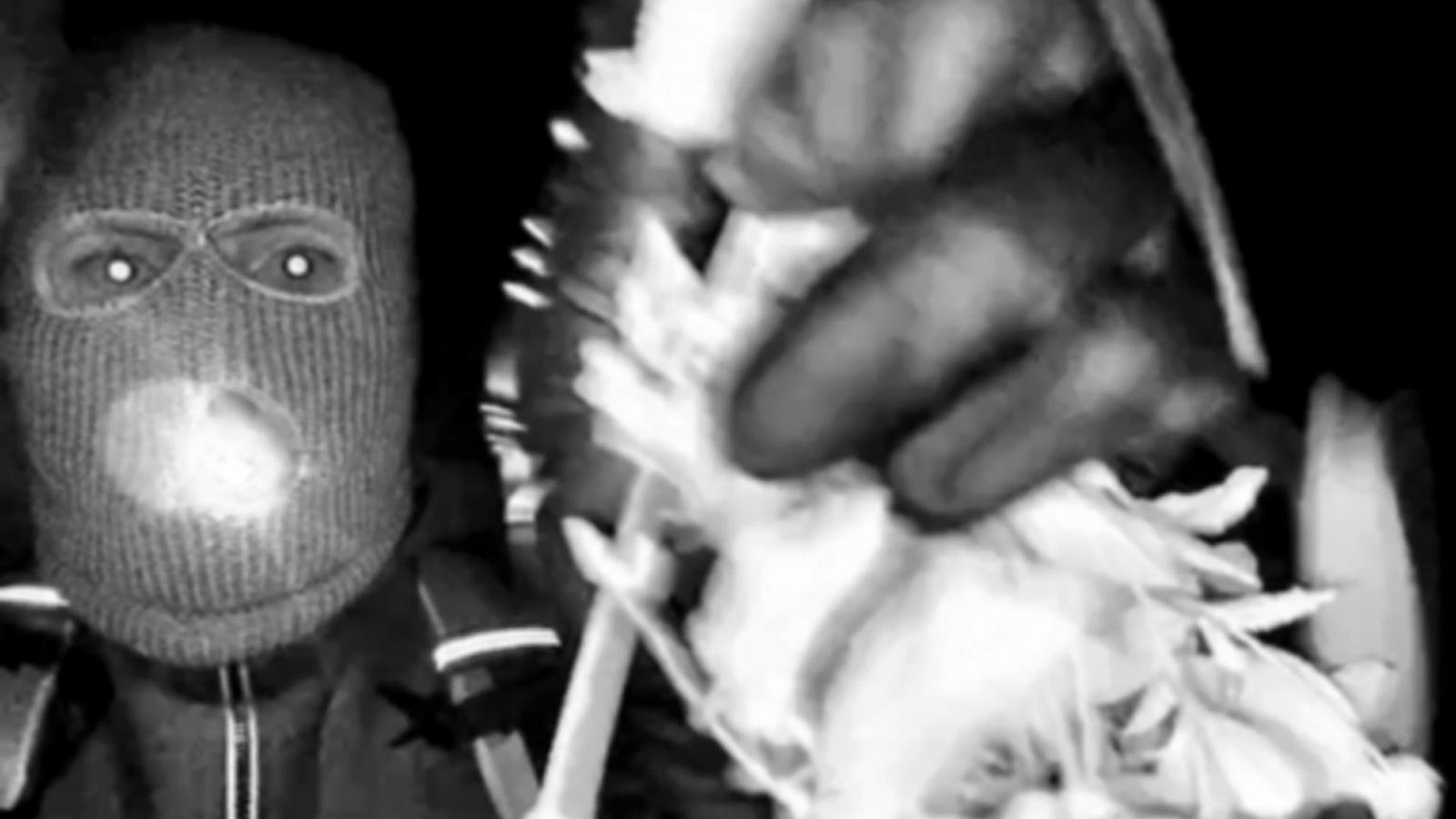 Nancy Guthrie kidnapping suspect: What we know